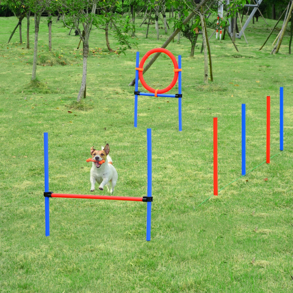 Set Agility per Cani 11 Pezzi con Ostacoli e Borsa Trasporto ¨C zephmum ¨C Rosso e Blu
