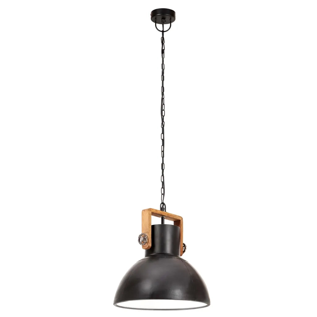 Lampada a Sospensione Industriale 25 W Nera Rotonda 30 cm E27 320536