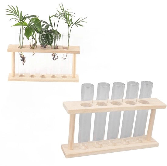 Collezioni di vasi per piante - Set di 5 vasi in legno - Vaso di reazione per terrarium - Decorazione per la casa - Vaso di vetro trasparente - Dimensioni: 22 x 12,5 x 4,5 cm - Contenitore per piante