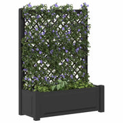 Vaso Grande con Direzione Antracite 99,5 x 43 x 133,5 cm PP CFW9091405