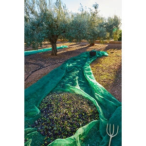 TELO RETE RACCOLTA OLIVE MT. 7X14 ANTISPINA