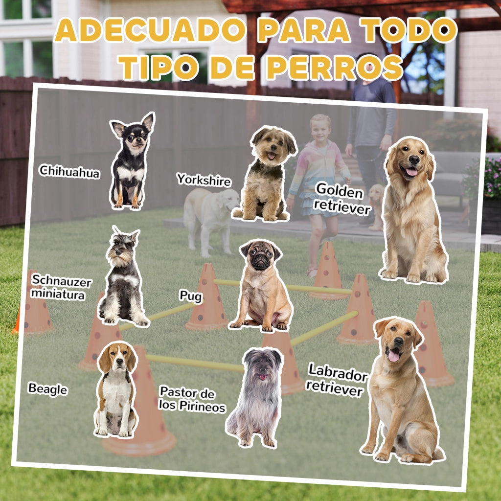 Set Agility per Cani ¨C Xylo ¨C 8 Ostacoli 8 Coni 8 Pali con Borsa