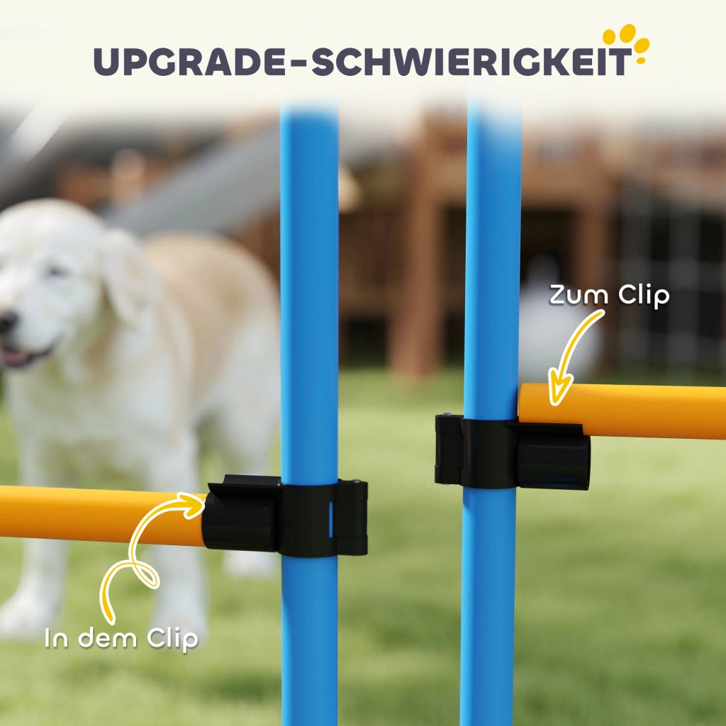 Set Agility per Cani 7 Pezzi ¨C Minimal ¨C Grigio