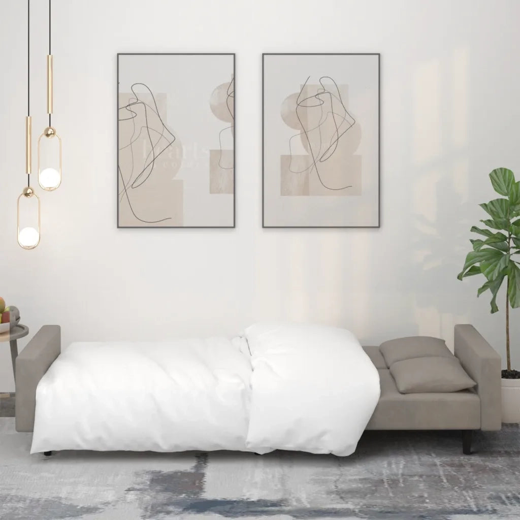 Divano letto | Sof¨¤ letto | Letto singolo a 2 Posti con 2 Cuscini Grigio Chiaro in Velluto