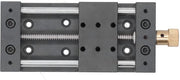 Attuatore lineare 75 mm - Binario di movimento lineare - Lega di alluminio - Alta precisione - Carico di 10 kg - Installazione facile - Binario lineare