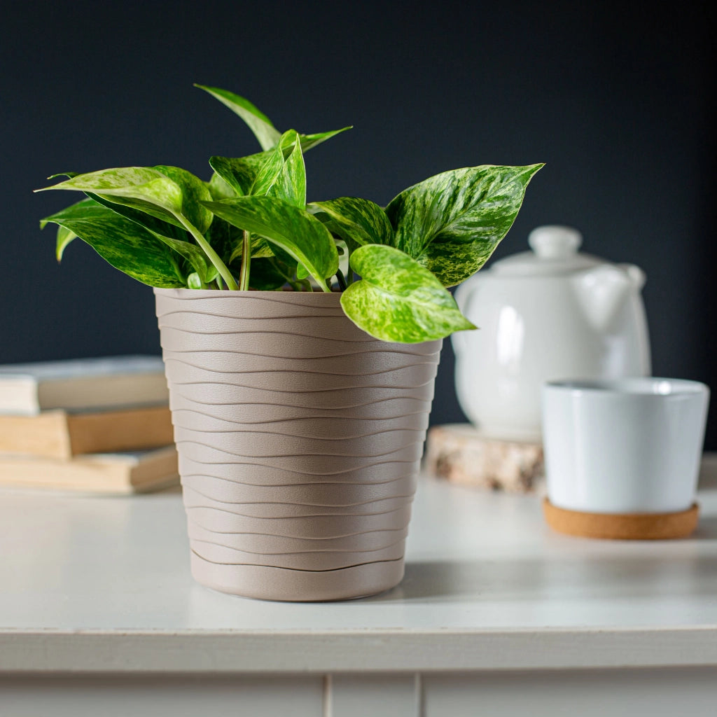 Vaso da fiori KADAX da 15 cm, coprivaso in plastica con supporto.