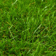 Erba Artificiale 1x15 m/40 mm Verde 148832