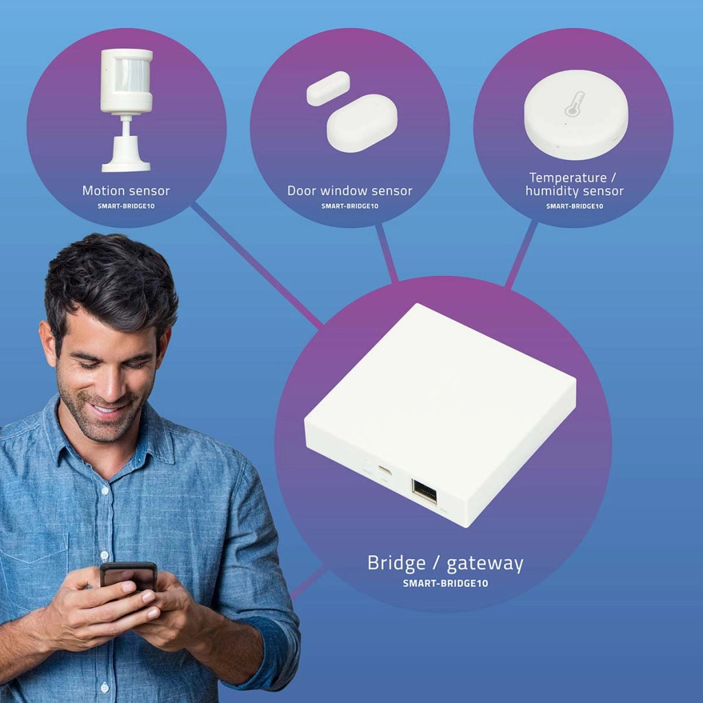 SMART-BRIDGE10 Punto di connessione per sensori Zigbee alla rete / internet Bianco Alecto
