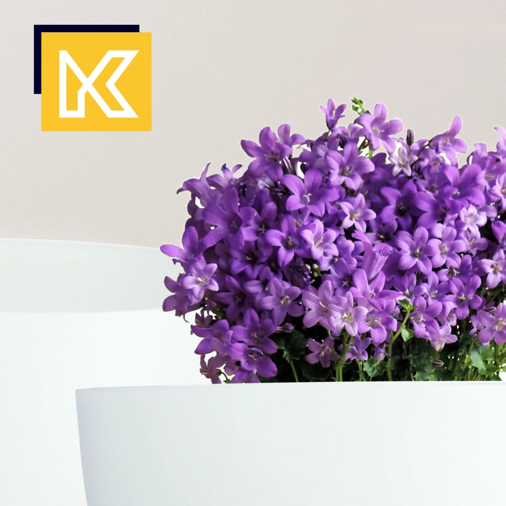 Vaso da fiori KADAX, fioriera, coperchio, gambe, inserto, supporto per fiori, 29+40 cm, ciotola bianca, 2 pezzi.