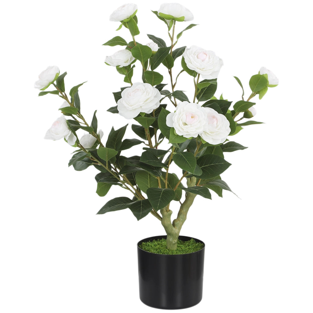 Pianta Artificiale di Camelia 65cm ¨C Xylo ¨C Fiori Seta Realistici 116 Foglie Effetto Musgo Bianco
