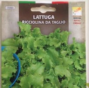 BUSTA SEMENTI LATTUGA RICCIOLINA DA TAGLIO