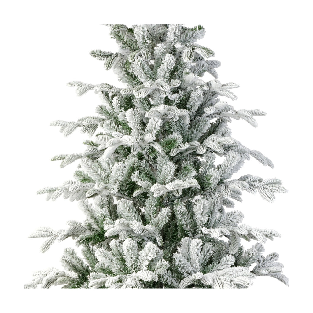 Albero Balsamea Fir innevato D145 H240cm