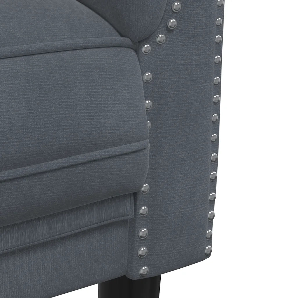Divano | Divano da soggiorno | Sofa a 2 Posti Grigio Scuro in Velluto