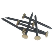 CHIODO TESTA OTTONE - ACCIAIO CF=PZ 100 MM 30- 5 confezioni