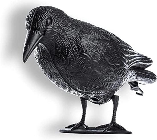 Difesa Uccelli da Balcone