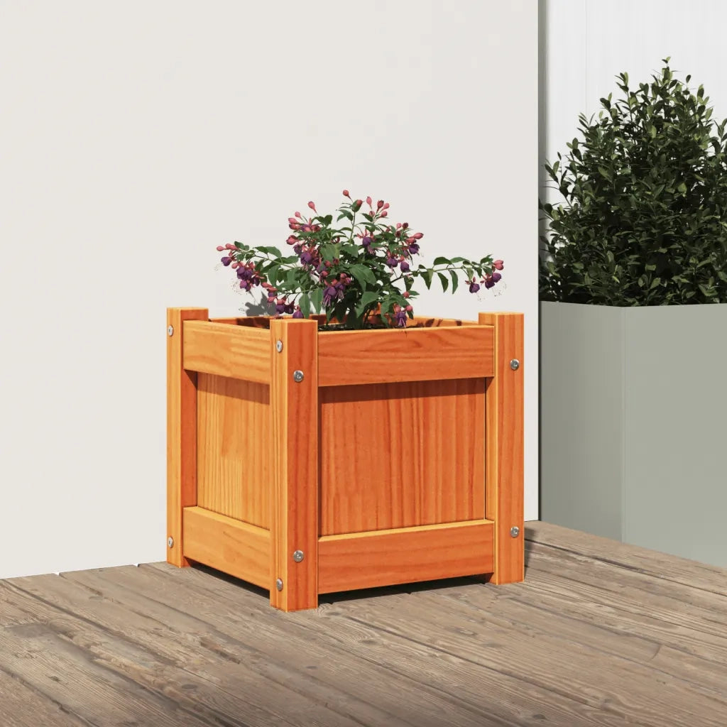 Fioriera Giardino Marrone Cera 31x31x31 cm Legno Massello Pino 837398
