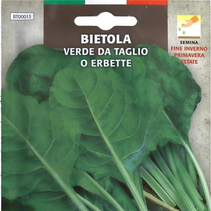BUSTA SEMENTI BIETOLA VERDE DA TAGLIO O ERBETTE