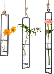 Sostegno per Vasi Idroponici in Vetro Claro Tubo di Test - Ideale per la Decorazione di Fiori in Balcone Casa