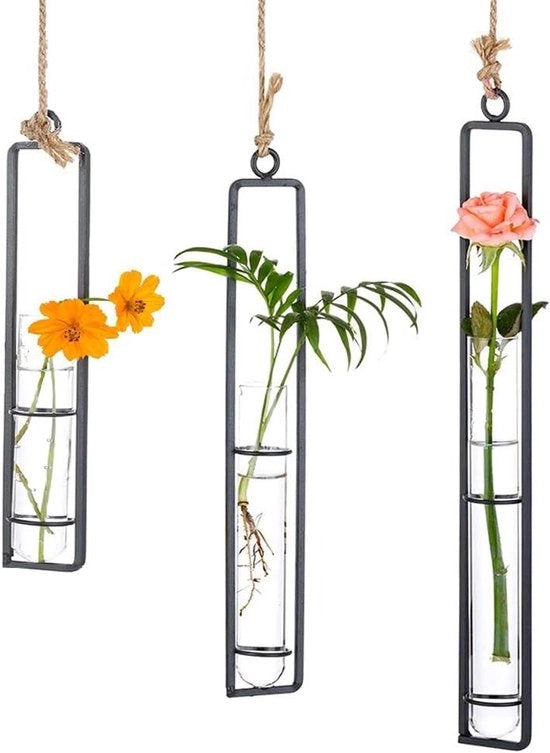 Sostegno per Vasi Idroponici in Vetro Claro Tubo di Test - Ideale per la Decorazione di Fiori in Balcone Casa