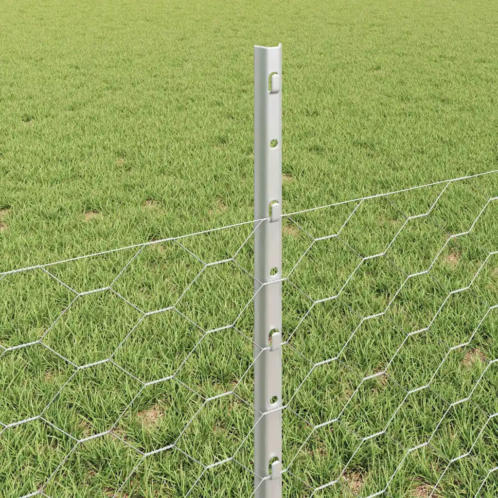 Recinzione da Giardino | Recinzione con Posto Argento