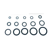 O-RING  5,70X1,90 P/FLESSIBILE MISCELATORE PZ.100