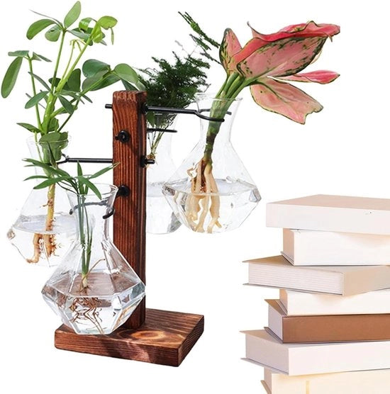 Kit di Terrario per Piante da Tavolo | Hydrocultura Kit di Pianta - Moderna Vaso d'Aria Bulbo Vasca di Vetro.