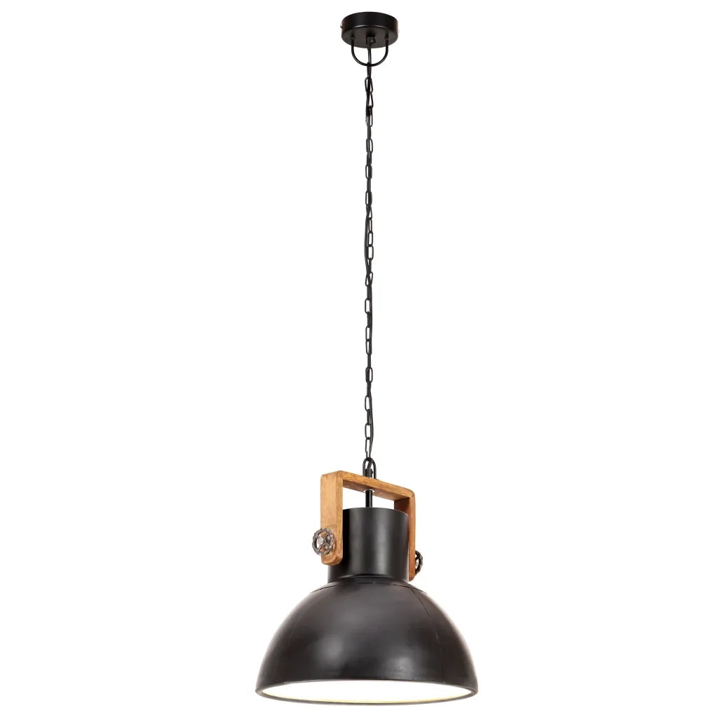 Lampada a Sospensione Industriale 25 W Nera Rotonda 30 cm E27 320536