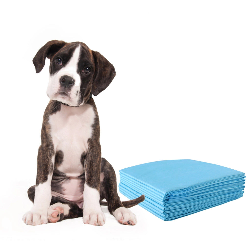 Traverse usa e getta con controllo odore, Pannolini per cani gatti conigli con asciugatura rapida 60 x 90 cm-Giochi e accessori per cani