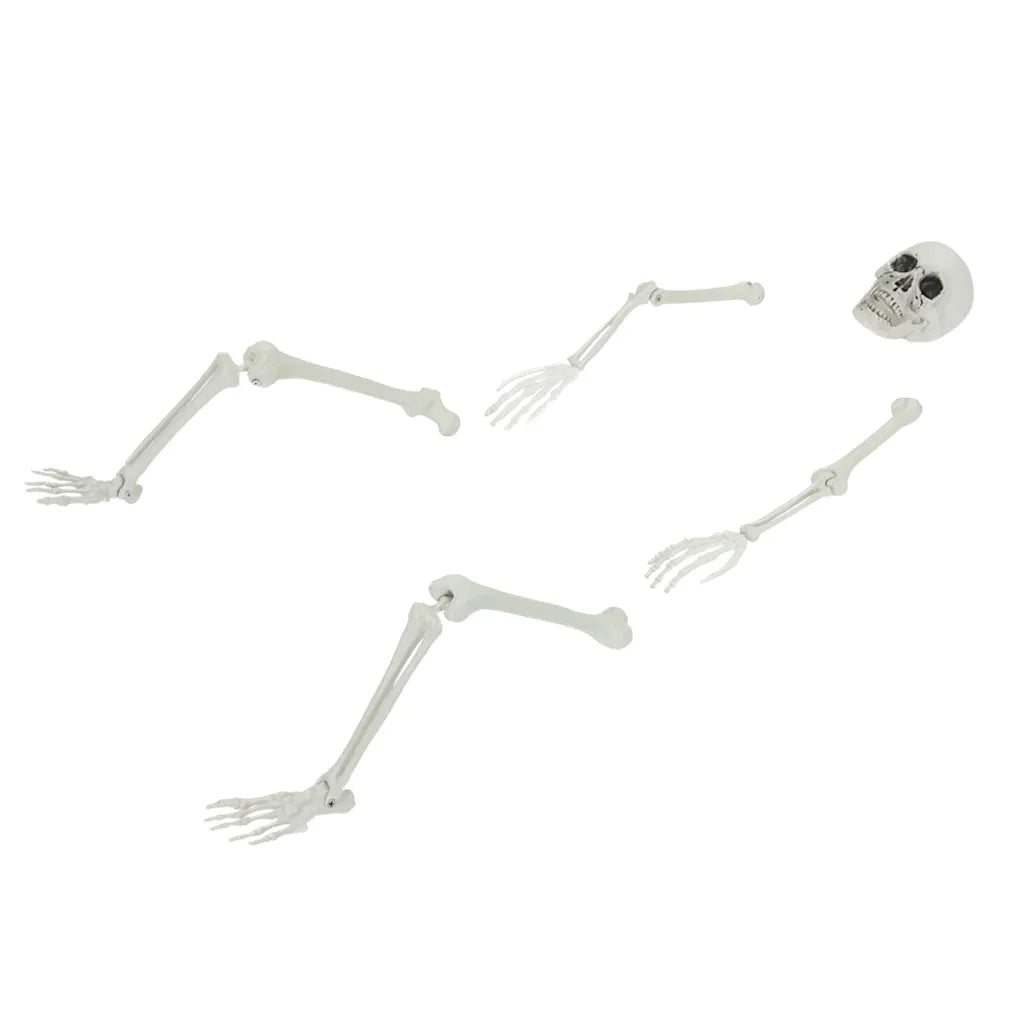 Scheletro di Halloween con punte da terra Bianco 45,5 x 13 cm 42020047