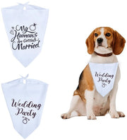 Due Stuvi per Cani da Matrimonio