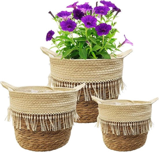 Pannelli per piante - Decorativi e funzionali - 3 pezzi - Cuscino di alghe marina