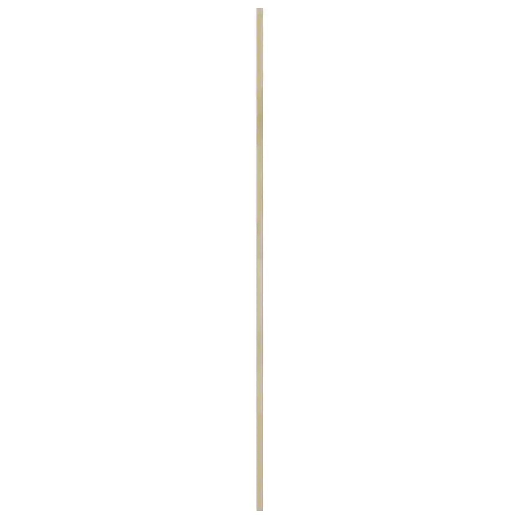 Porta per Armadio con porta 2 pcs Naturale 170 x 2,1 x 59,5 cm 42019271