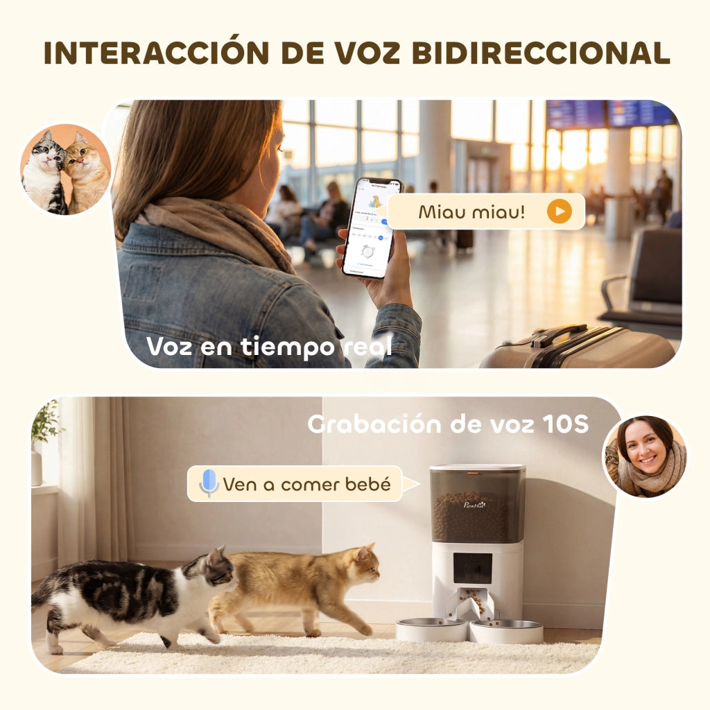 Distributore Automatico Cibo Cani Gatti 6L WiFi 2.4G ¨C Xylo ¨C 2 Ciotole Programmabile App Controllo Registrazione Voce