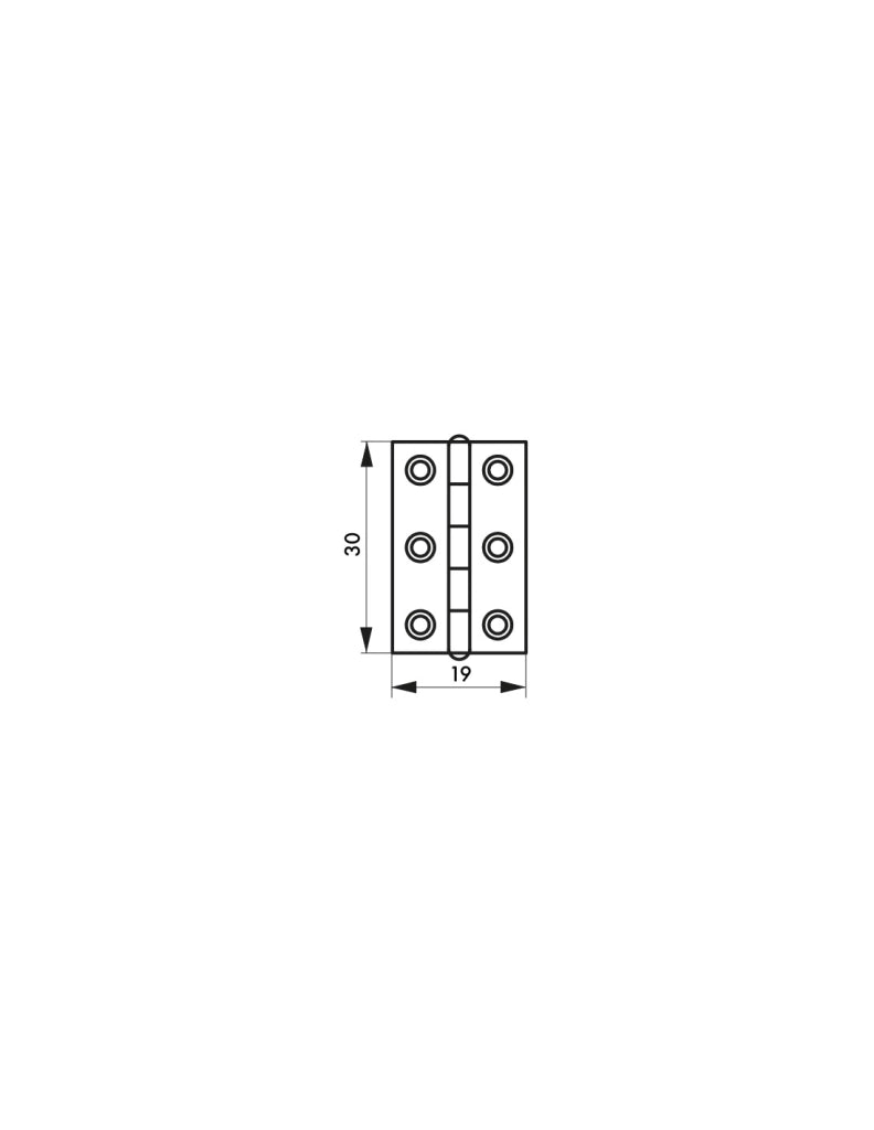 Cerniera per porta 30 x 19 mm, ottone – THIRARD