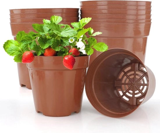 Set di 10 Piatte per Semi Ø 12 cm