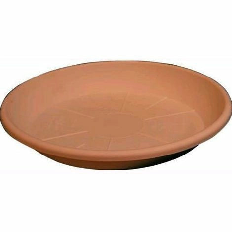 Piatto Ecosimilcotto D.35 Coccio Set 5 Pezzi- Arca