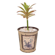 Vaso con pianta artificiale 10x10x22h