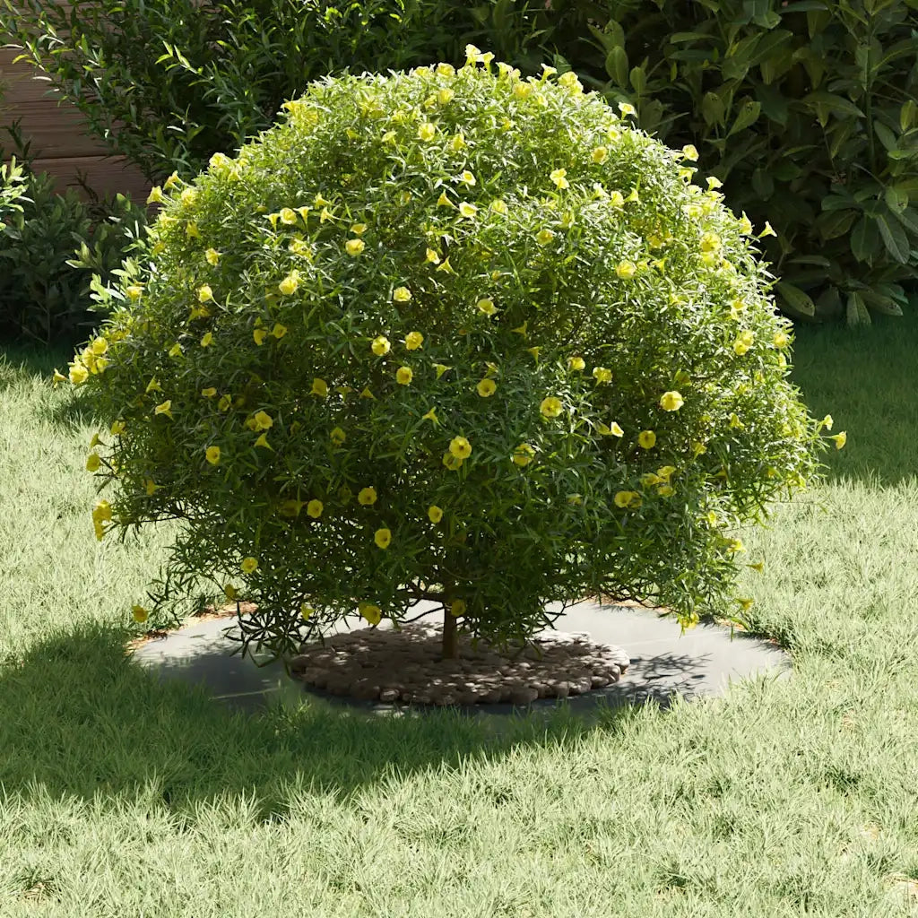 adatto per Anello d'Albero Piatto Argento Ø30/60 cm 873672