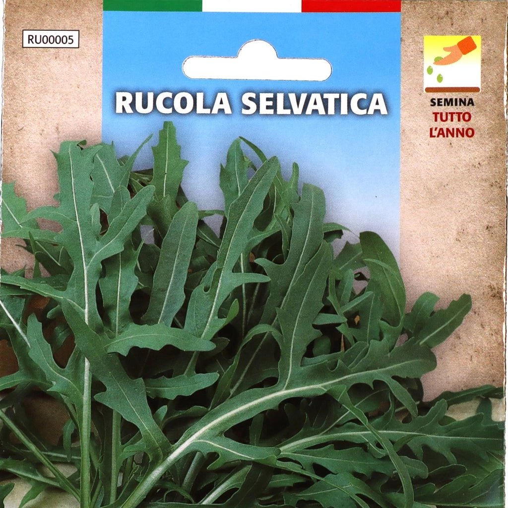 BUSTA SEMENTI RUCOLA SELVATICA
