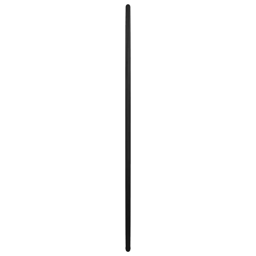 Specchio da Parete Nero Ø 40 cm Rotondo 348185