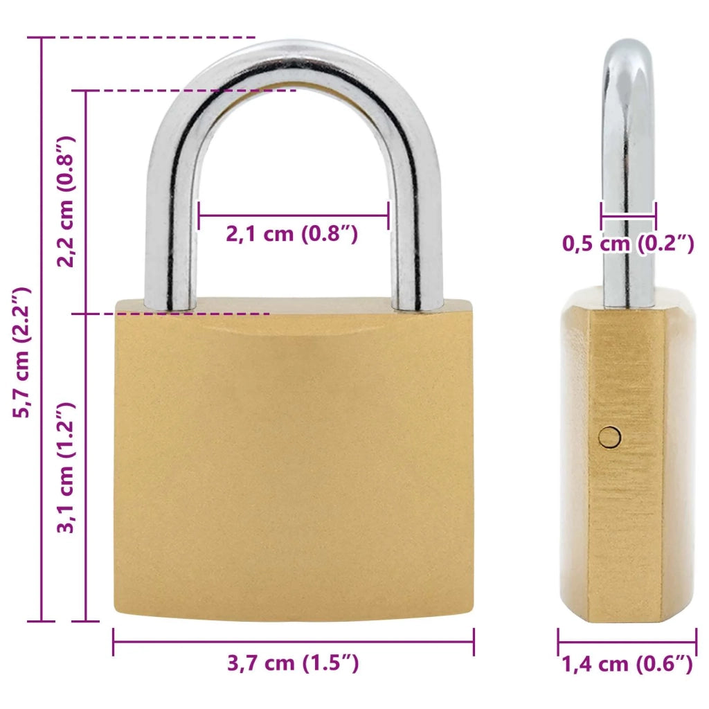 U Lock con Chiavi 2 pz Ottone Ferro CFW5208637