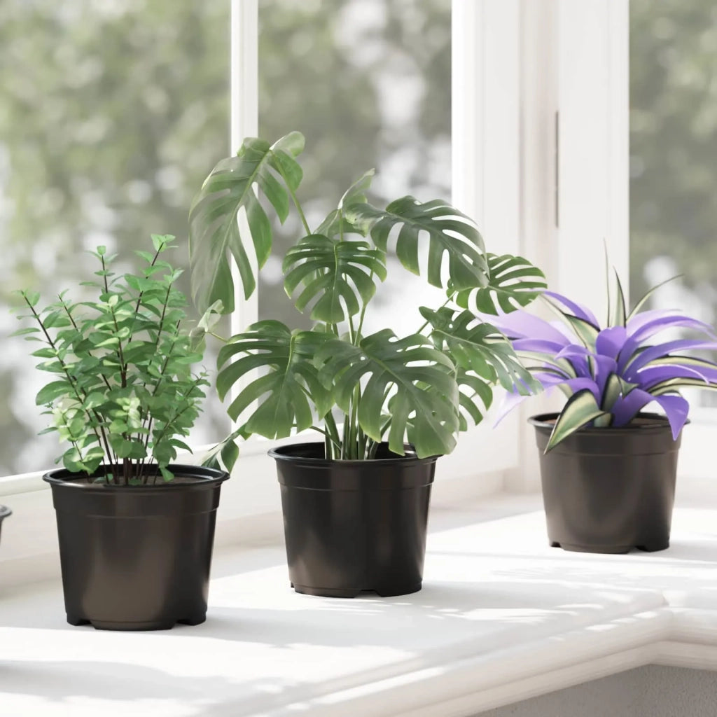 Vaso Rotondo per Fiori 50 pcs Nero Ø 10 x 8 cm Plastica 42029490