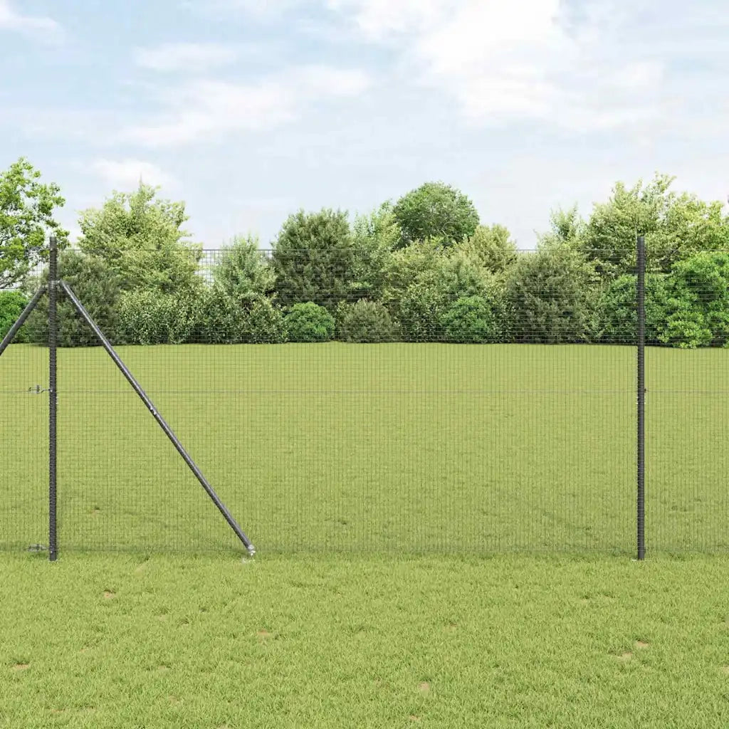 Recinzione da Giardino | Recinzione in rete saldata con punte Acciaio Grigio Rete