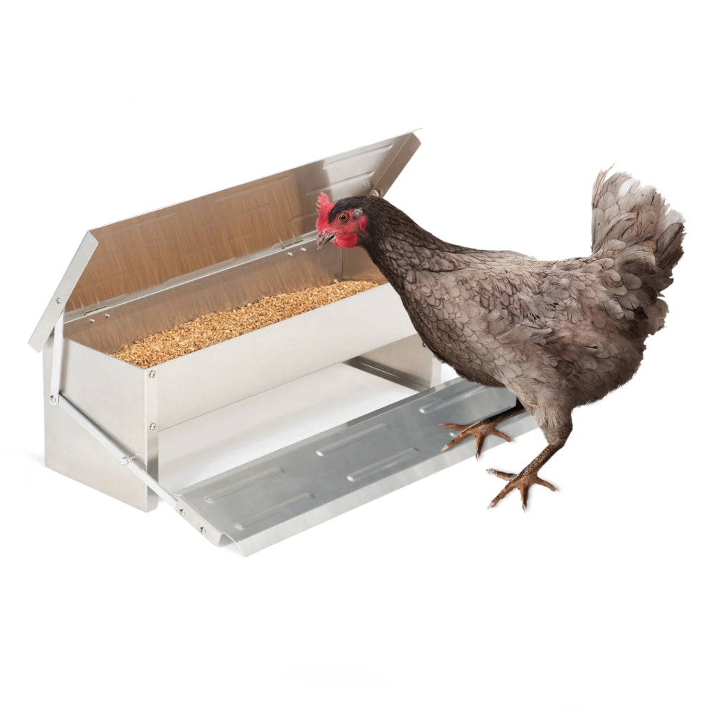 IDMarket - Mangiatoia per polli XL con mangiatoia automatica a pedale in acciaio da 5 kg