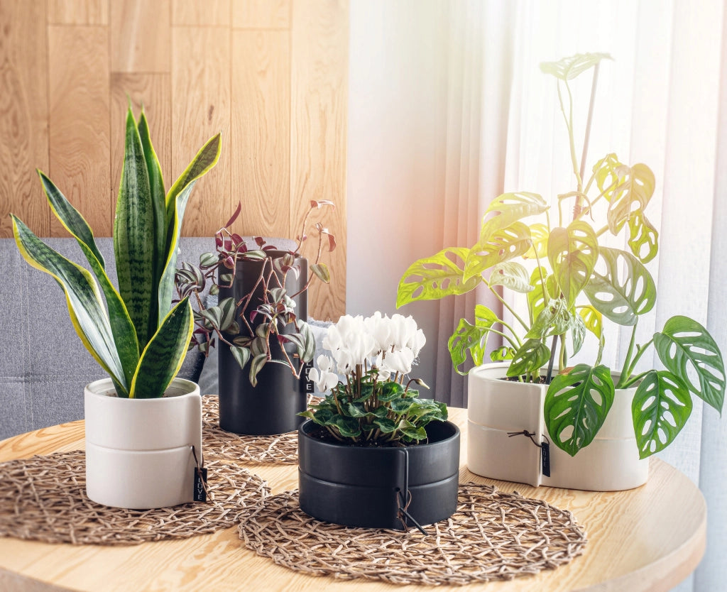 Vaso da fiori in ceramica KADAX, bianco, rotondo, 11 cm
