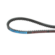 Cinghia di trasmissione AVX 10X775 La