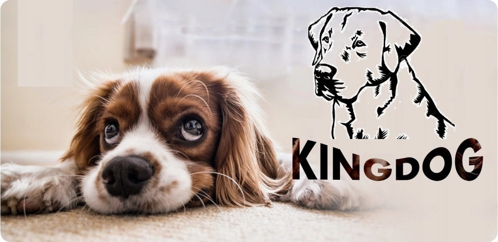 AIO FACTORY 130x105 cm KINGDOG Cuccia per cani impermeabile personalizzabile Blu