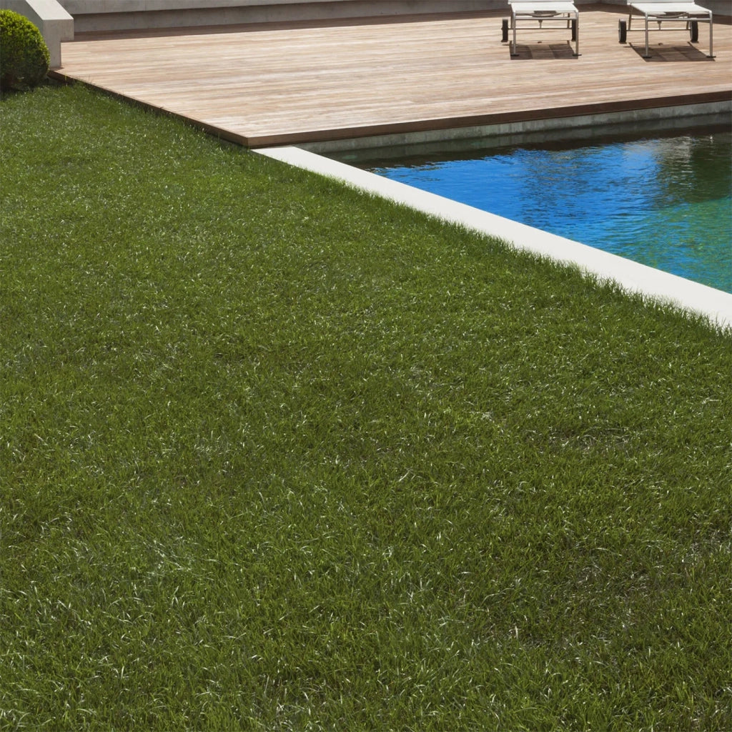 IDMarket - Erba artificiale 1x10 M spessore 40 mm per giardino e balcone