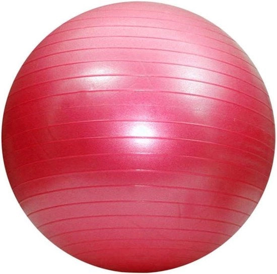 Palla da Fitness da 52 cm (Anti-Scoppio) - Rosa