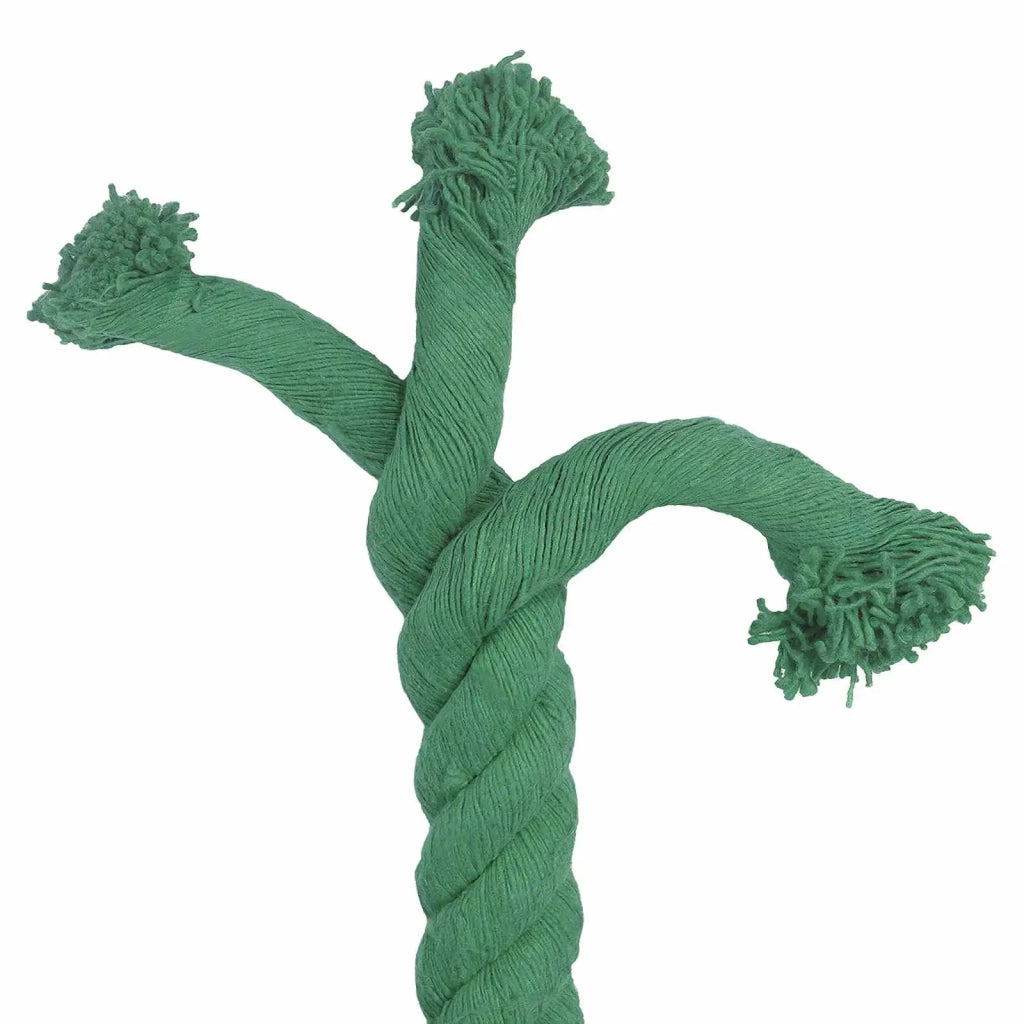 Corda Verde 6 x 6 x 500 cm Cotone 42011987